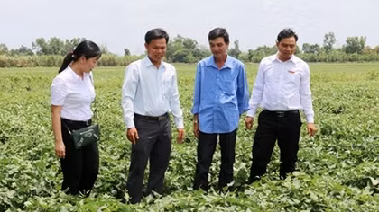 Agribank hợp tác thành công mô hình kinh tế nông hộ ở miền Tây
