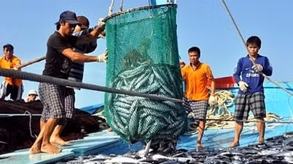 Nâng cao năng lực cho lao động di cư ngành đánh bắt và chế biến thủy sản ở Đông Nam Á