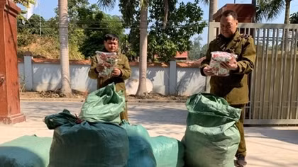 9.000 chiếc chân gà nhập lậu “hết đường” vào nội địa