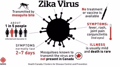 Virus Zika liệu có gây vô sinh ở nam giới?