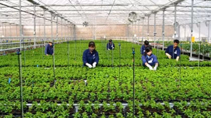 Nhiều mô hình nông nghiệp thông minh, ứng phó với biến đổi khí hậu