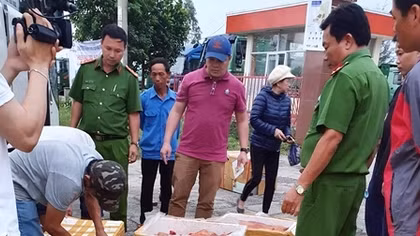 Tăng cường xử lý các hành vi vi phạm về môi trường