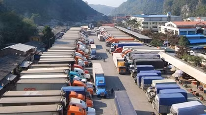 Xuất khẩu sang Trung Quốc tăng hơn 800 triệu USD