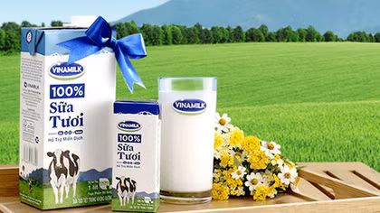 Vinamilk sẽ xuất khẩu sữa sang Trung Quốc