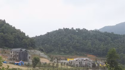 Xử lý nghiêm địa phương sử dụng đất rừng không đúng mục đích