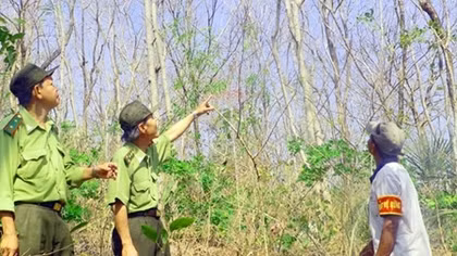 Chủ động phòng chống cháy rừng trong mùa khô