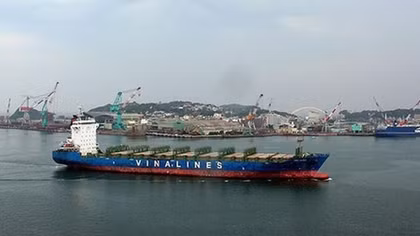 "Đại hạ giá", tàu thanh lý của Vinalines vẫn ế