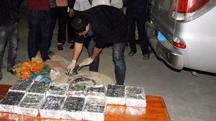 Sử dụng xe biển giả vận chuyển 40 bánh heroin