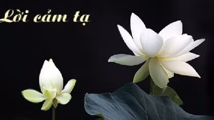 Lời cảm ơn