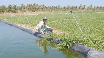 Nhiều mô hình “sống khỏe” giữa hạn, mặn