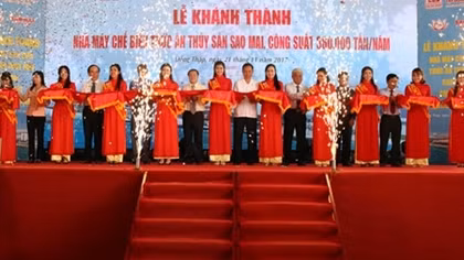 Nâng cao giá trị và phát triển bền vững ngành cá tra Việt
