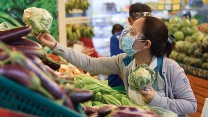 Triển khai nhiều nguồn cung ứng rau củ cho TP Hồ Chí Minh
