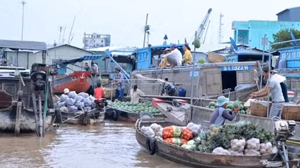 Tôn vinh văn hoá chợ nổi Cái Răng