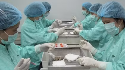 Triển vọng vaccine COVID-19 "made in Vietnam"