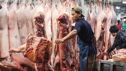 Thịt lợn vẫn đang bị “làm giá”