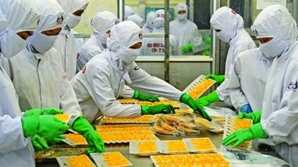 VASEP tiếp tục đề nghị không kiểm dịch với sản phẩm thủy sản chế biến