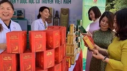 Tất cả các tuyến đều tăng tỷ lệ sử dụng thuốc nội