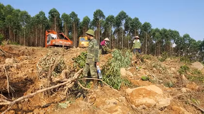 Hai gia đình "choảng" nhau vì tranh chấp đất rừng