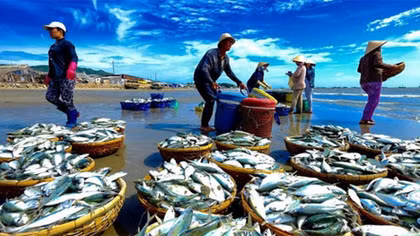 Nhiều giải pháp khẩn trương để EU thu thẻ vàng