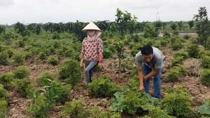 Xây dựng nông thôn mới ở Nam Định: Chọn mô hình phù hợp, xây công trình hiệu quả