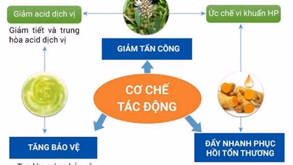 Sự thật ít người biết để tránh tái phát viêm dạ dày