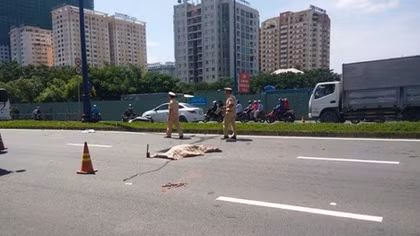 Tử vong sau khi tông vào dải phân cách văng sang làn ôtô