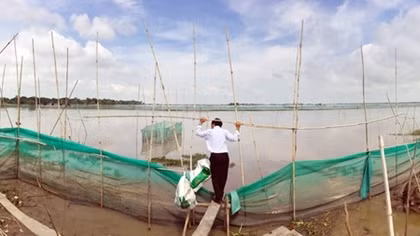 Vui, buồn “Mùa nước nổi” miền Tây: Chuyển đổi sản xuất để sống chung với lũ
