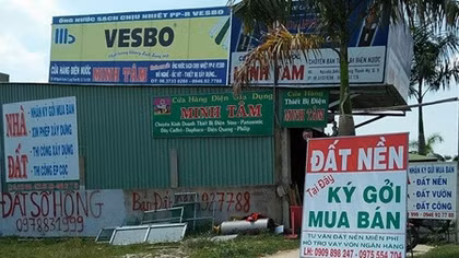 Cò đất khuynh đảo ngoại thành
