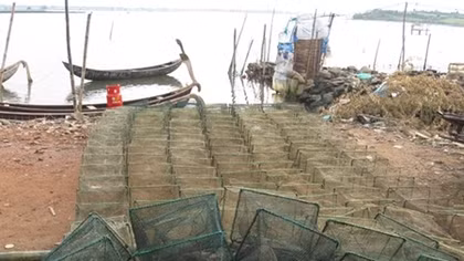 Cần ngăn chặn tình trạng tận diệt thủy sản trong đầm, hồ tại Phú Yên