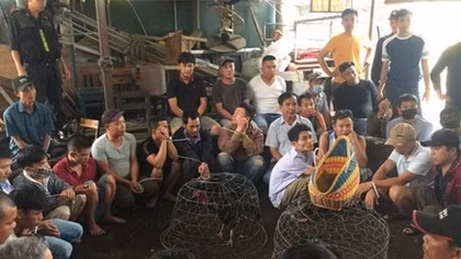 45 đối tượng tham gia trường gà trăm triệu đồng