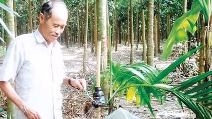 Ngưỡng mộ lão nông với những phát minh cực "độc" 