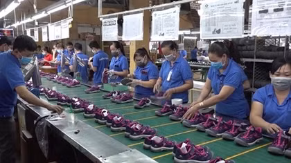 Ổn định sản xuất, tăng cường phòng, chống dịch bệnh