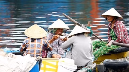 Những nhịp chèo chênh vênh nơi hải cảng