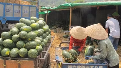 Nhiều giải pháp nâng cao giá trị xuất khẩu nông sản Việt