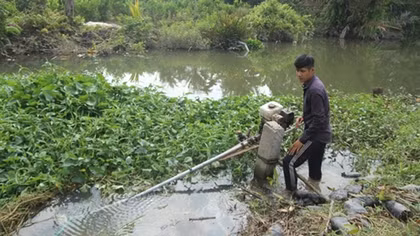 Đồng bằng sông Cửu Long đối diện xâm nhập mặn sớm và sâu