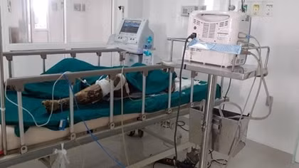 Xác định nguyên nhân vụ cháy khiến nữ gia chủ và kẻ phóng hỏa tử vong