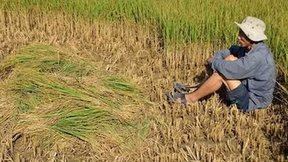 Nước mặn xâm nhập có dấu hiệu giảm