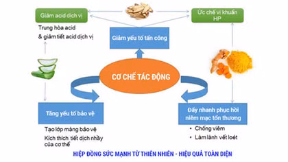 Đau dạ dày đừng tưởng chỉ dùng tinh nghệ nano là đủ