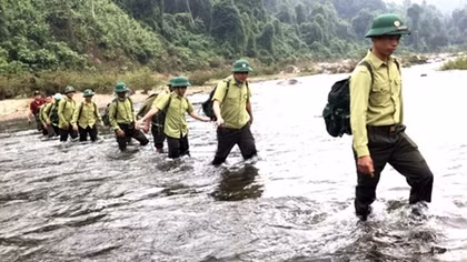 Tăng cường các biện pháp giữ rừng