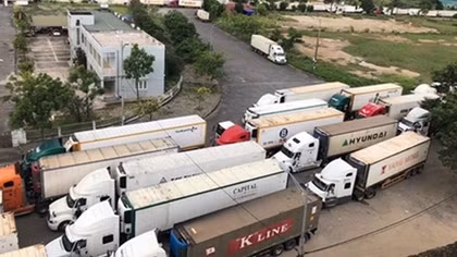 Tránh ùn tắc trong xuất khẩu nông sản, trái cây sang Trung Quốc dịp Tết