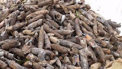 Xử lí 2 tấn phế liệu là vật liệu nổ tại nhà dân