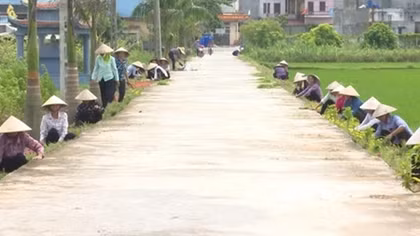 Huyện Quỳnh Phụ hoàn thành 9/9 tiêu chí cấp huyện đạt chuẩn nông thôn mới