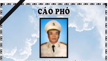 Giáo sư, Tiến sỹ, Đại tá Châu Diệu Ái từ trần
