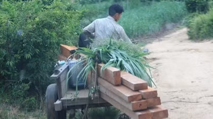 Cán bộ đã tiếp tay cho lâm tặc phá rừng Hòn Đát