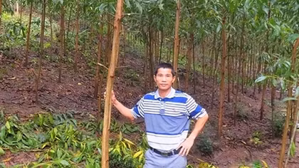Tỷ phú khởi nghiệp từ trồng rừng