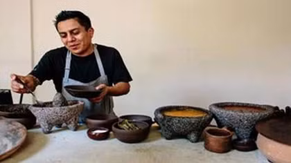 Món ăn chế biến từ loài kiến cánh