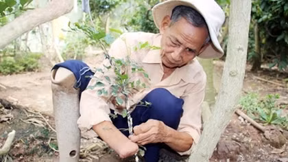 Ông “bụt” giữa đời thường