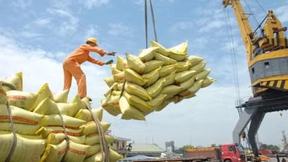 Gạo Việt Nam tạo thương hiệu trên thị trường thế giới