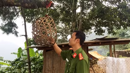 Vụ án đồng rừng và chiếc lồng gà đón sóng điện thoại