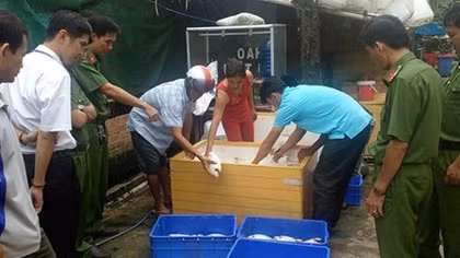 Hãi hùng thực phẩm bẩn ở Đồng bằng sông Cửu Long